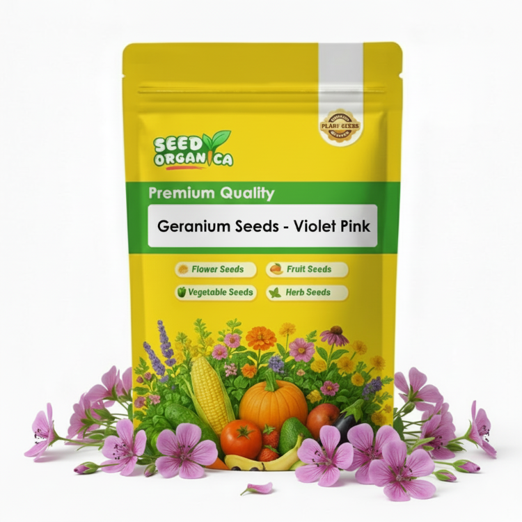 Geranium Seeds - Violet Pink