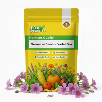 Geranium Seeds - Violet Pink