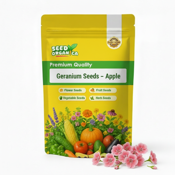 Geranium Seeds – Apple
