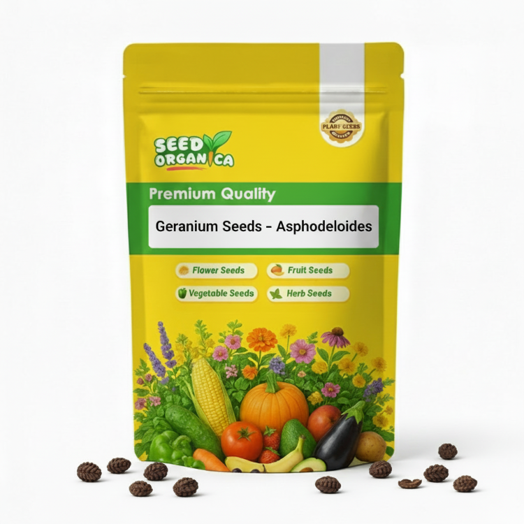 Geranium Seeds – Asphodeloides