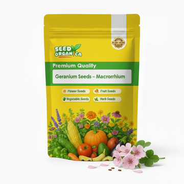 Geranium Seeds – Macrorrhizum