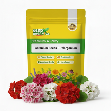 Geranium Seeds – Pelargonium