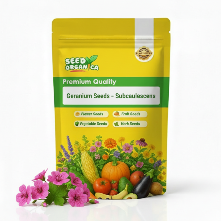 Geranium Seeds – Subcaulescens