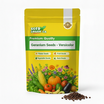 Geranium Seeds – Versicolor