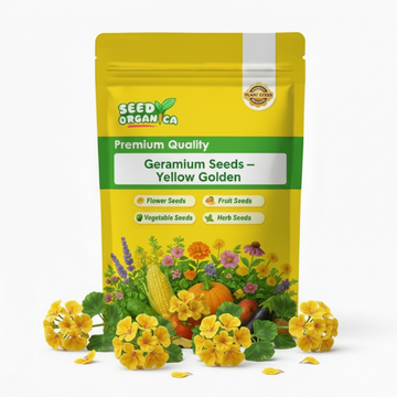 Geranium Seeds – Yellow Golden