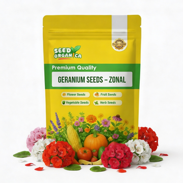 Geranium Seeds – Zonal