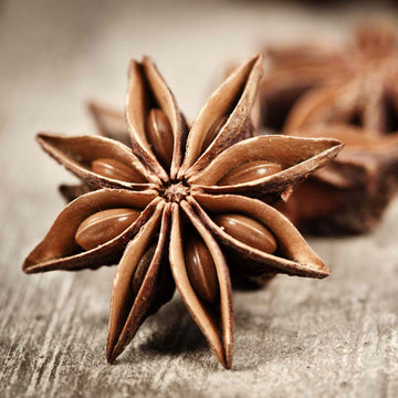 Star Anise Seeds – Aromatic Spice