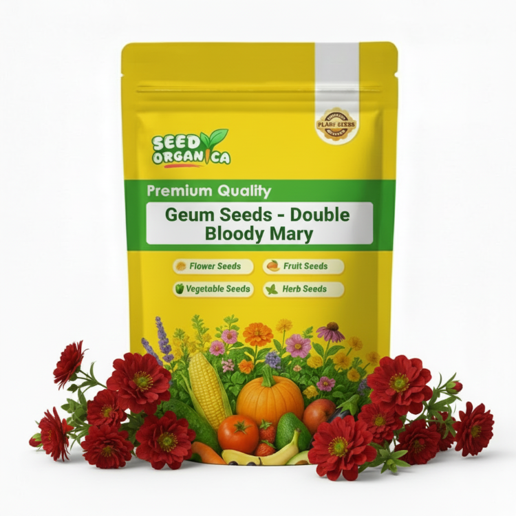 Geum Seeds – Double Bloody Mary