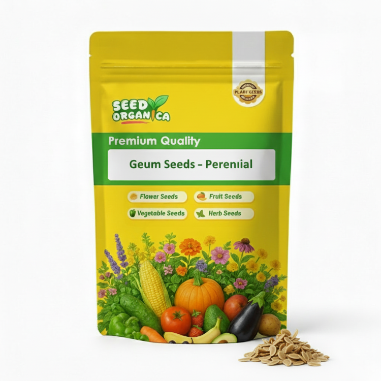 Geum Seeds – Perennial