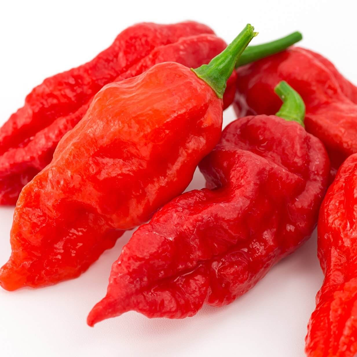 Ghost Pepper Seeds - Bhut Jolokia
