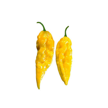  Ghost Pepper Seeds – Yellow