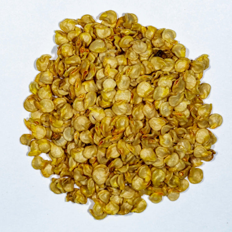 Ghost Pepper Seeds - All In One For Home Gardens