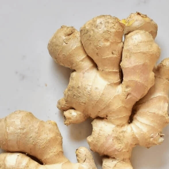 Ginger Seeds – White Brown