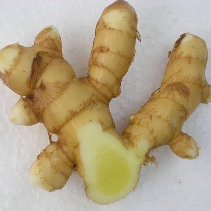 Ginger Seeds – White Brown