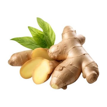Ginger Seeds – Cream