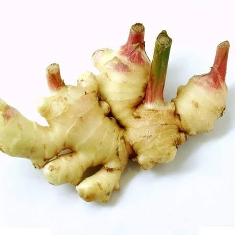 Ginger Seeds – Green and White