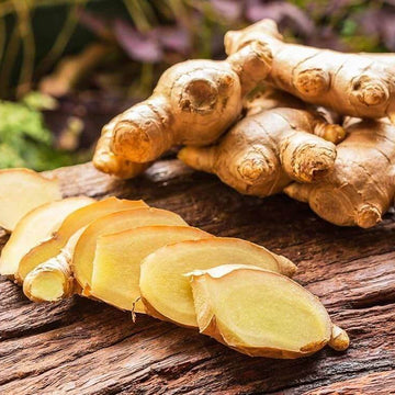 Ginger Seeds – White Brown