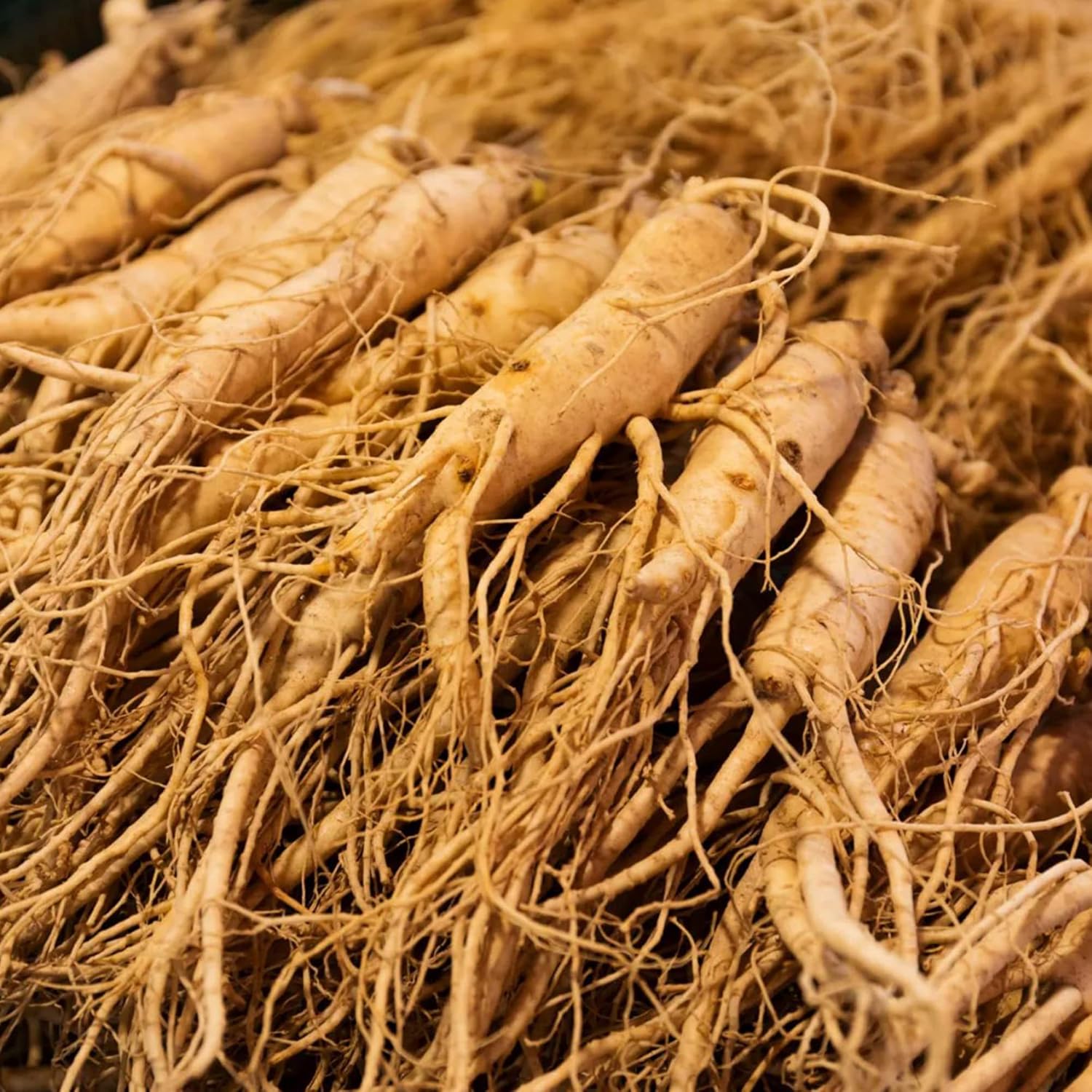 Ginseng Seeds – Korean
