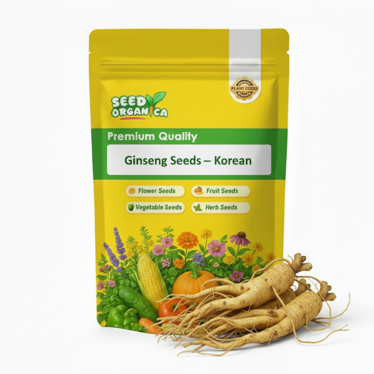 Ginseng Seeds – Korean