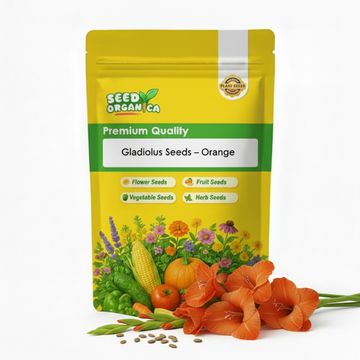 Gladiolus Seeds – Orange