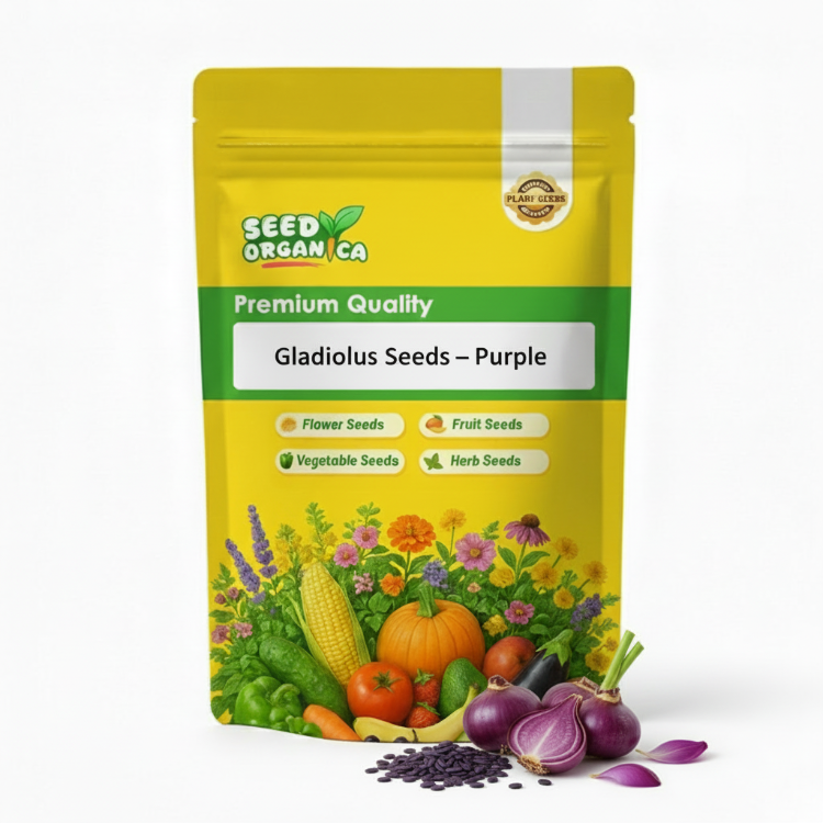 Gladiolus Seeds – Purple