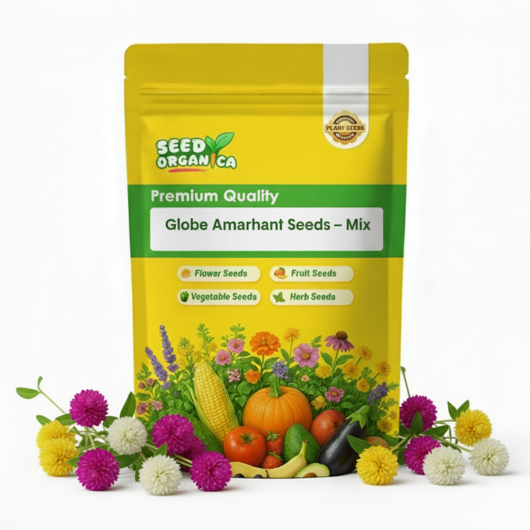 Globe Amaranth Seeds – Mix