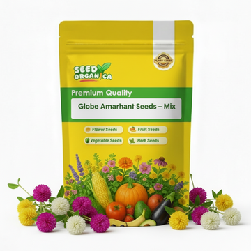 Globe Amaranth Seeds – Mix