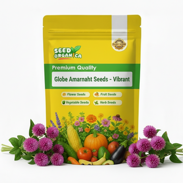 Globe Amaranth Seeds –  Vibrant