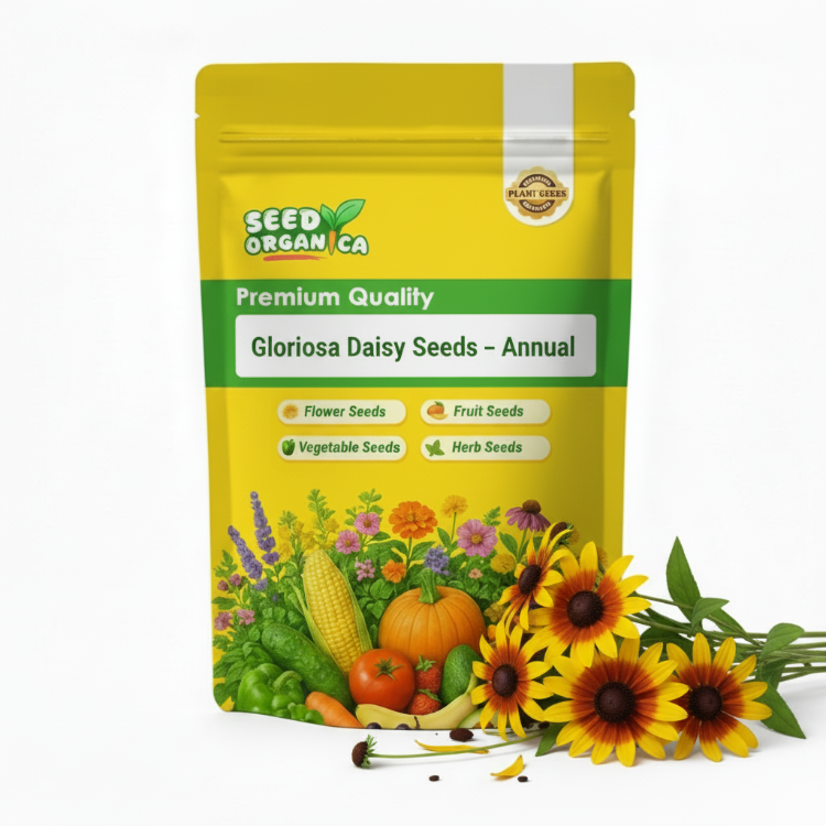Gloriosa Daisy Seeds – Annual