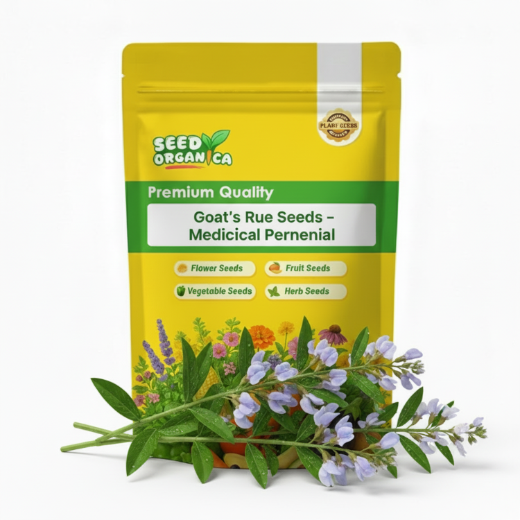 Goat’s Rue Seeds – Medicinal Perennial