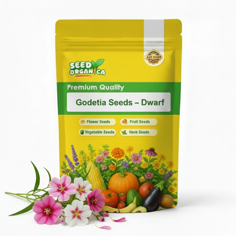 Godetia Seeds – Dwarf