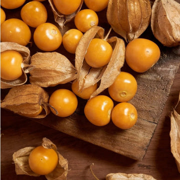 Golden Berry Seeds – Cape Gooseberry