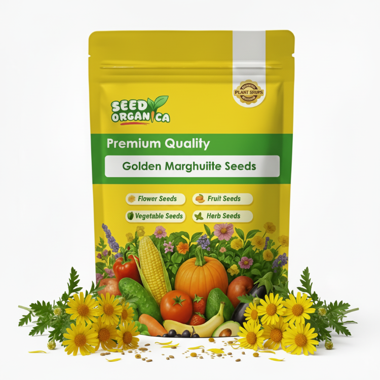 Golden Marguerite Seeds