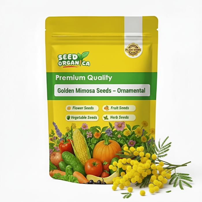 Golden Mimosa Seeds – Ornamental