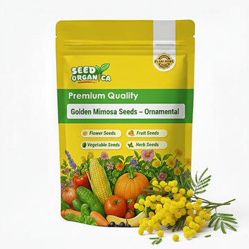 Golden Mimosa Seeds – Ornamental