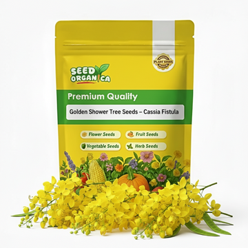 Golden Shower Tree Seeds – Cassia Fistula