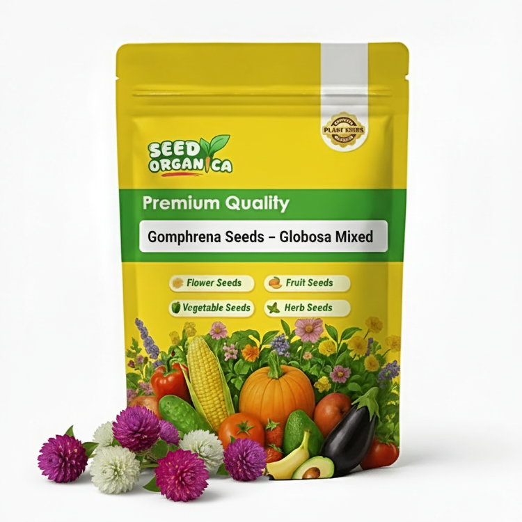 Gomphrena Seeds – Globosa Mixed