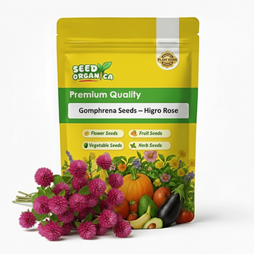 Gomphrena Seeds – Higro Rose