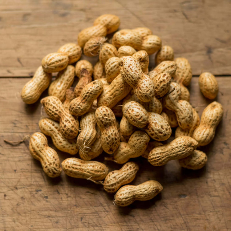 Goober Seeds