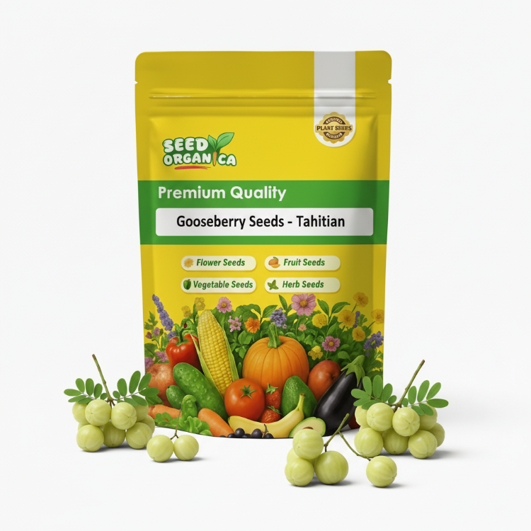 Gooseberry Seeds - Tahitian