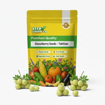 Gooseberry Seeds - Tahitian