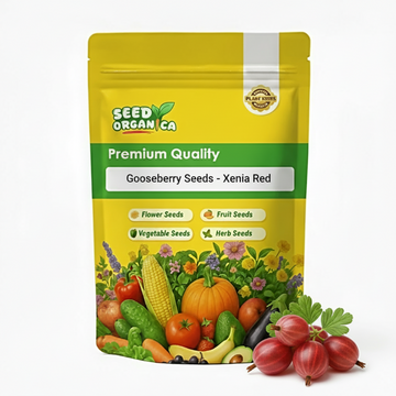 Gooseberry Seeds - Xenia Red