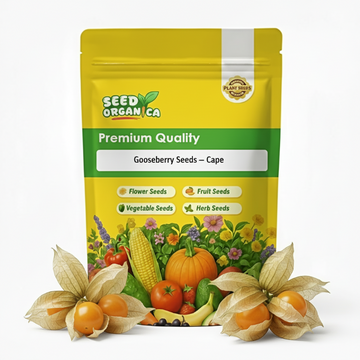 Gooseberry Seeds – Cape