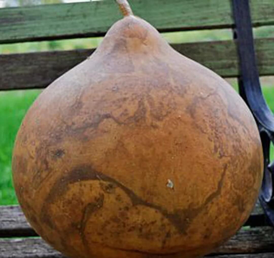 Gourd Seeds – Brown Bushel 