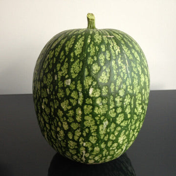 Gourd Seeds – Green Malabar 