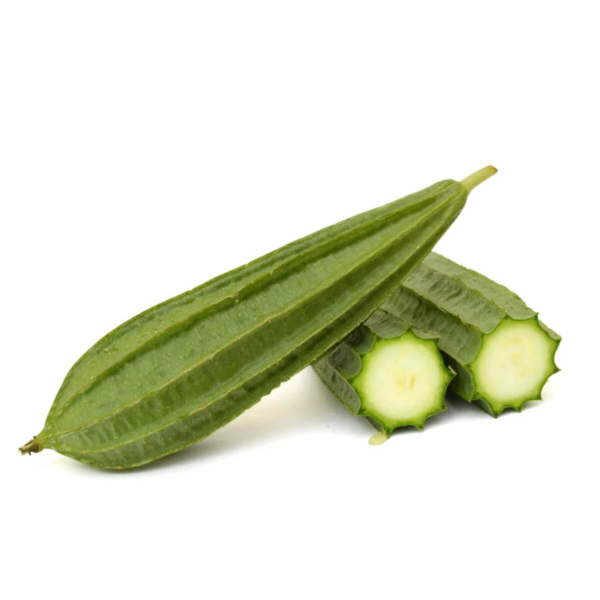 Gourd Seeds – Ridge 