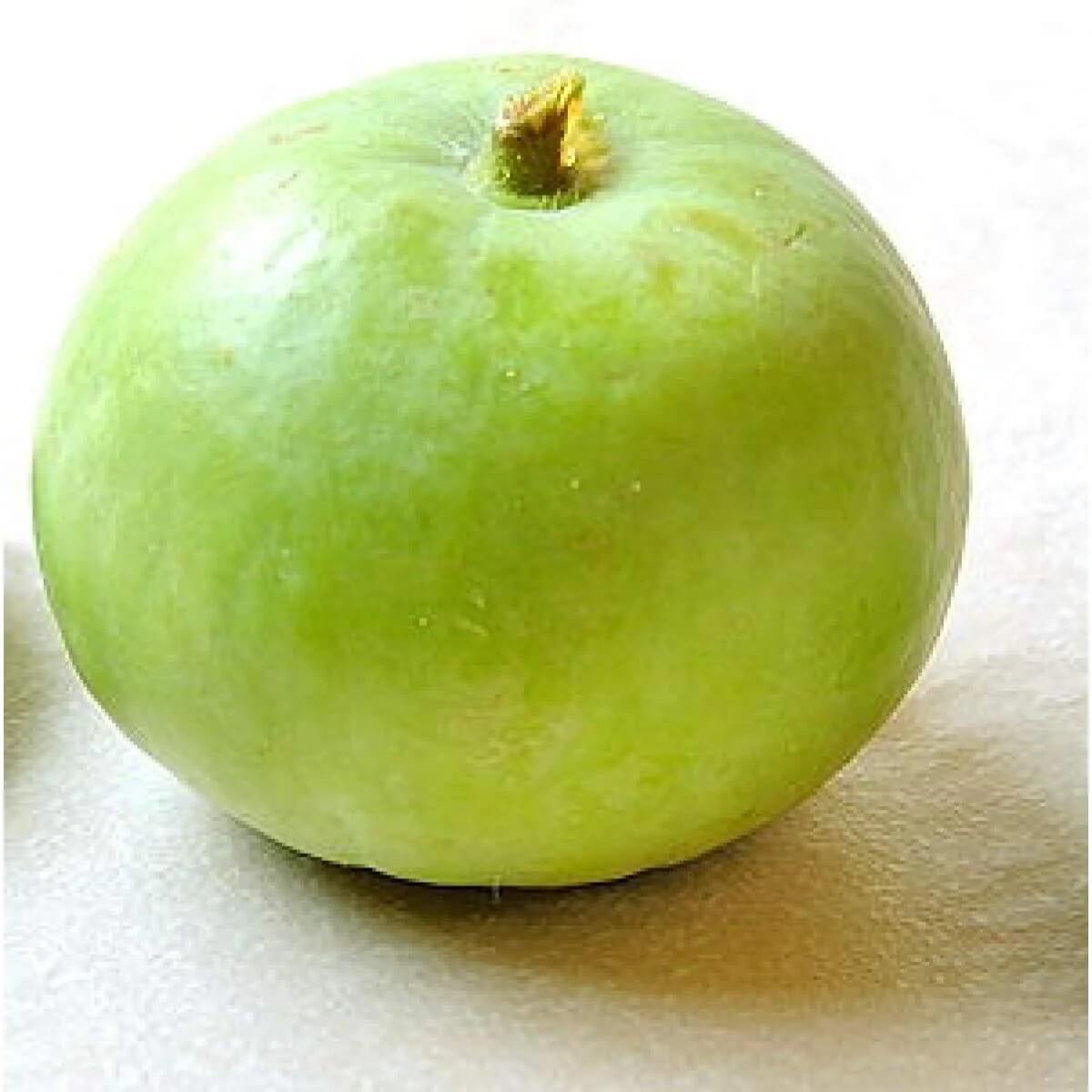 Gourd Seeds – Green Apple 