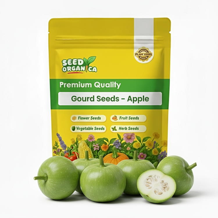Gourd Seeds – Apple