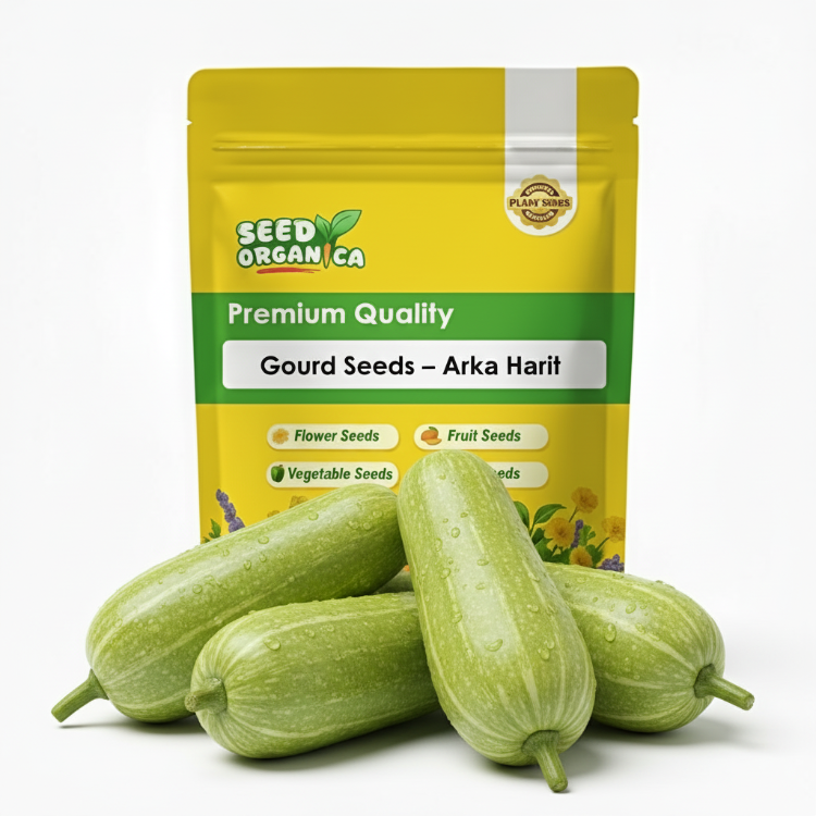 Gourd Seeds – Arka Harit
