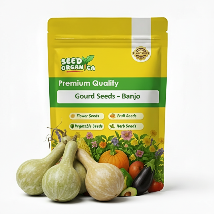 Gourd Seeds – Banjo